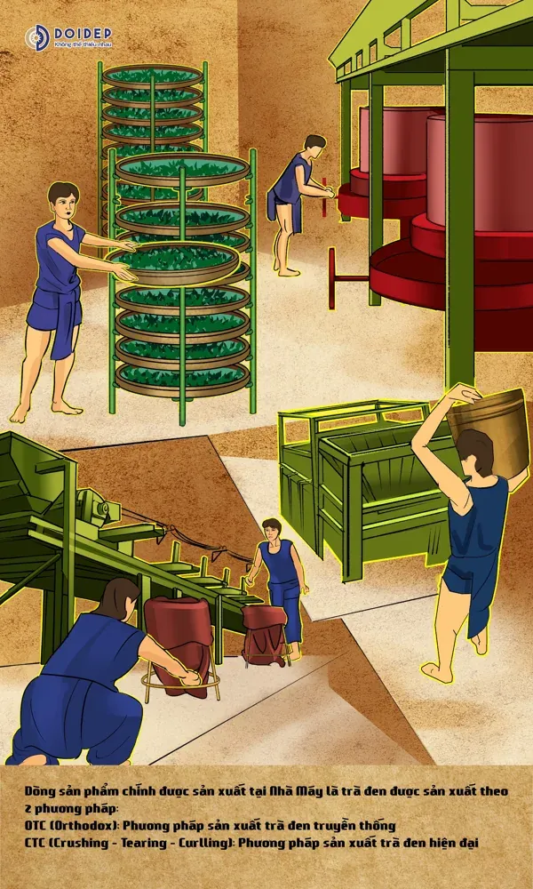 Tranh minh họa hai phương pháp làm chè hiện đại và truyền thống với giàn phơi và máy móc