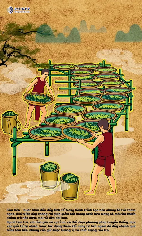 Tranh minh họa công đoạn làm héo chè trên các giàn nong