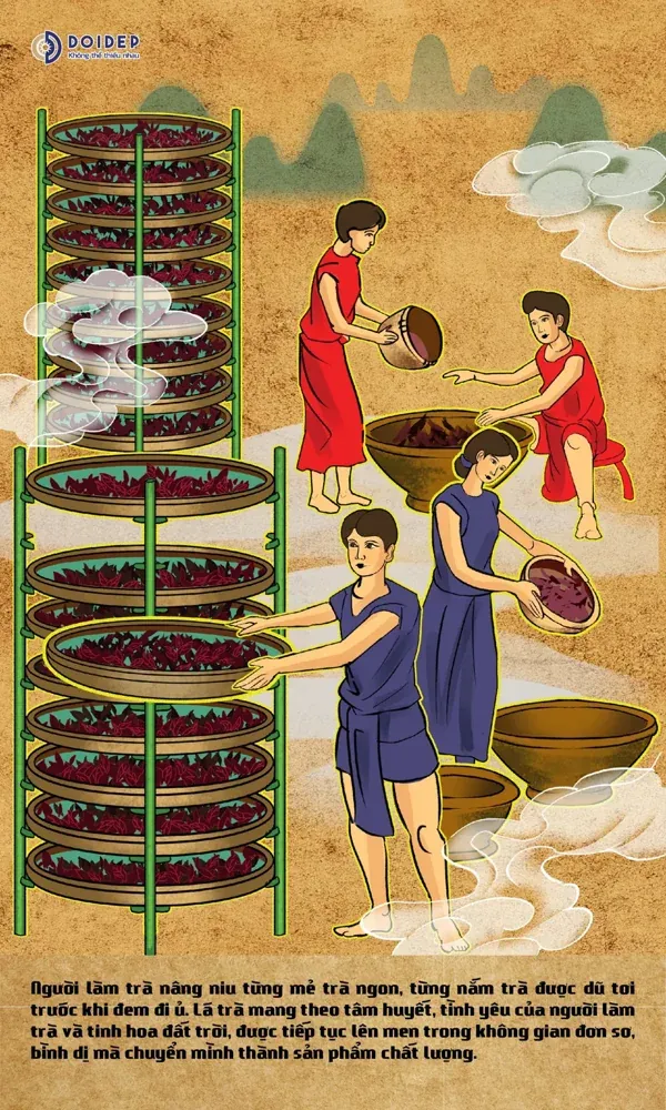 Tranh minh họa người làm chè ủ lên men theo phương pháp truyền thống