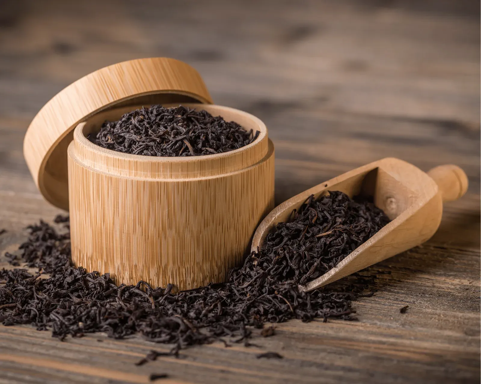 Tea storage illustration 4 | Doi Dep